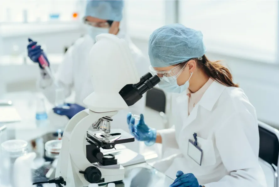 Formación profesional