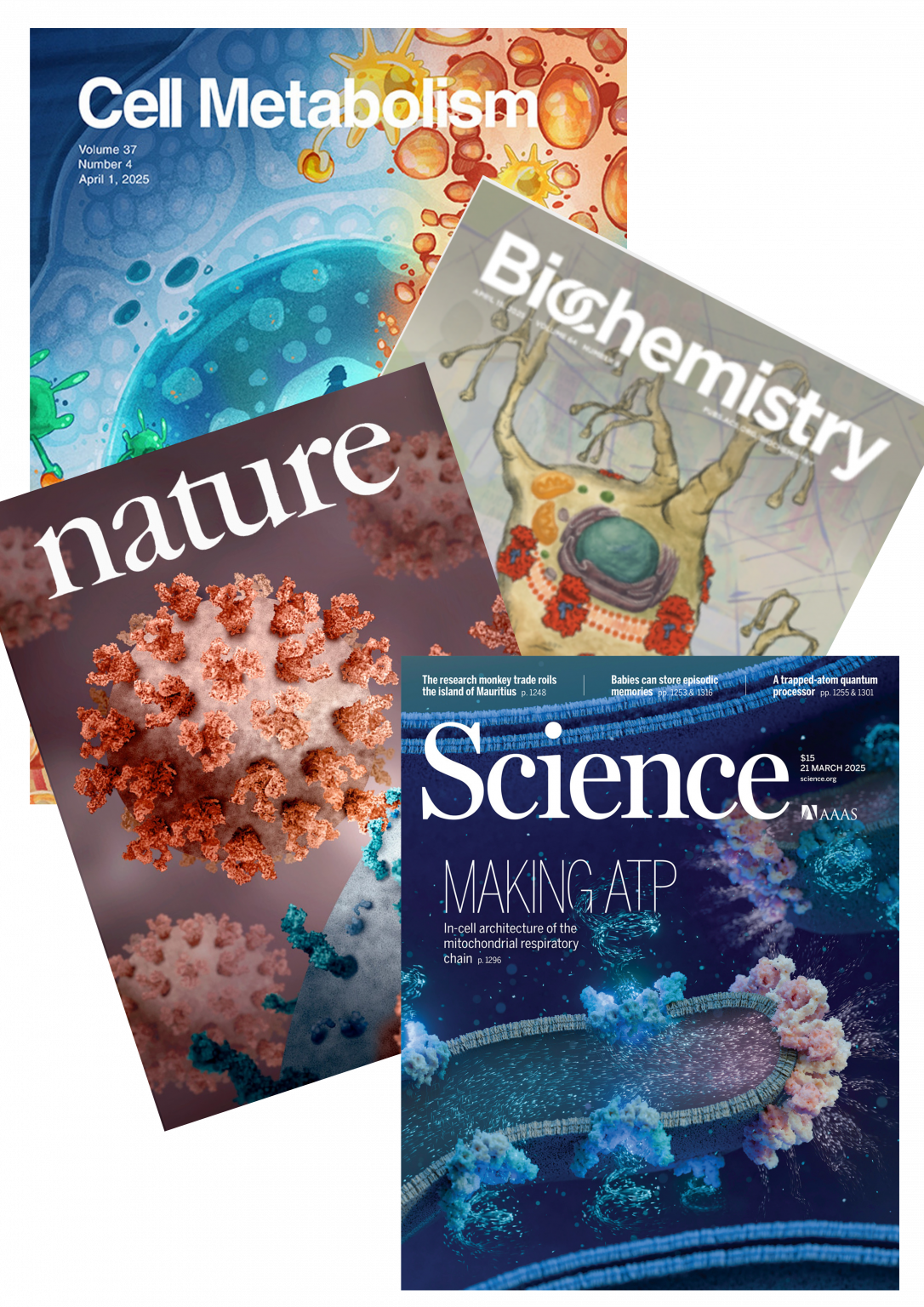 Publicaciones científicas